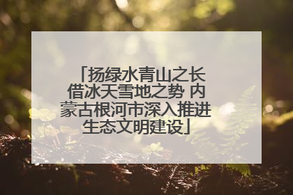 扬绿水青山之长 借冰天雪地之势 内蒙古根河市深入推进生态文明建设