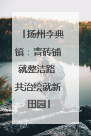 扬州李典镇：青砖铺就整洁路 共治绘就新田园
