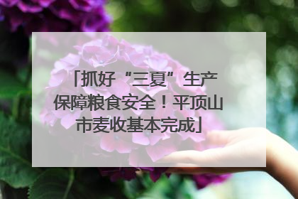 抓好“三夏”生产 保障粮食安全！平顶山市麦收基本完成