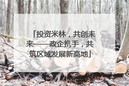 投资米林，共创未来——政企携手，共筑区域发展新高地