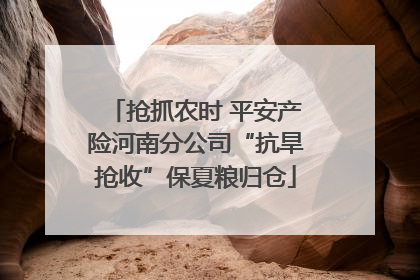 抢抓农时 平安产险河南分公司“抗旱抢收”保夏粮归仓