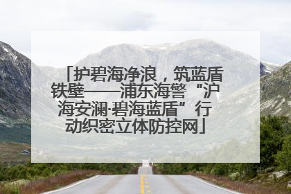 护碧海净浪，筑蓝盾铁壁——浦东海警“沪海安澜·碧海蓝盾”行动织密立体防控网