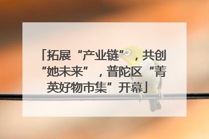 拓展“产业链”，共创“她未来”，普陀区“菁英好物市集”开幕