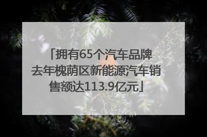 拥有65个汽车品牌 去年槐荫区新能源汽车销售额达113.9亿元