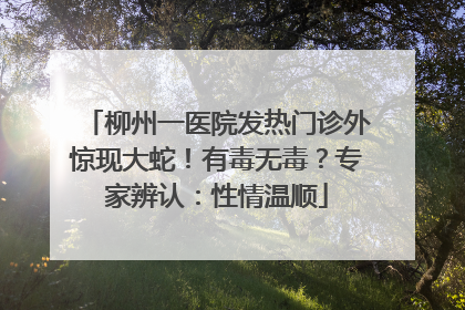 柳州一医院发热门诊外惊现大蛇！有毒无毒？专家辨认：性情温顺