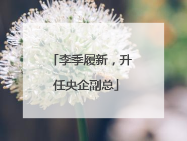 李季履新，升任央企副总
