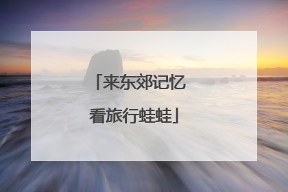 来东郊记忆 看旅行蛙蛙