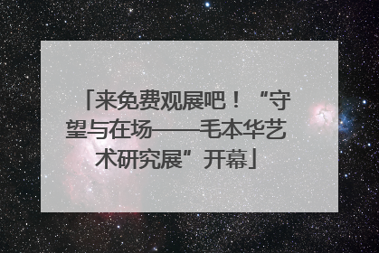 来免费观展吧！“守望与在场——毛本华艺术研究展”开幕