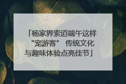 杨家界索道端午这样“宠游客” 传统文化与趣味体验点亮佳节