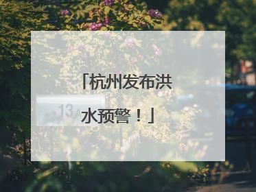 杭州发布洪水预警！