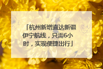 杭州新增直达新疆伊宁航线，只需6小时，实现便捷出行