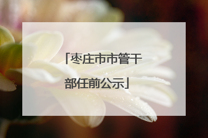 枣庄市市管干部任前公示