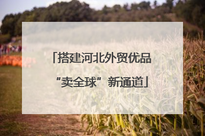 搭建河北外贸优品“卖全球”新通道