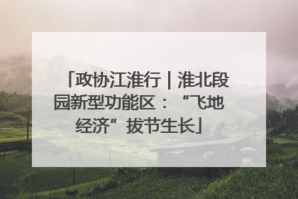 政协江淮行｜淮北段园新型功能区：“飞地经济”拔节生长
