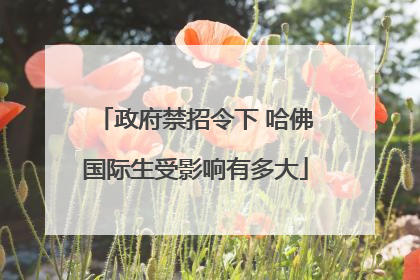 政府禁招令下 哈佛国际生受影响有多大