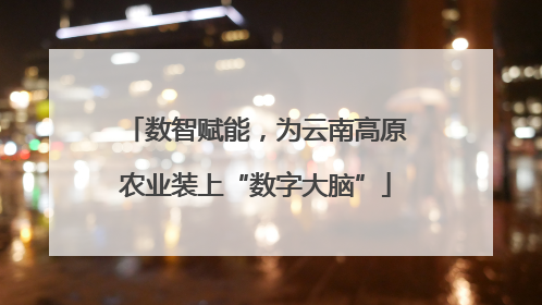 数智赋能，为云南高原农业装上“数字大脑”