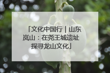 文化中国行｜山东岚山：在尧王城遗址探寻龙山文化