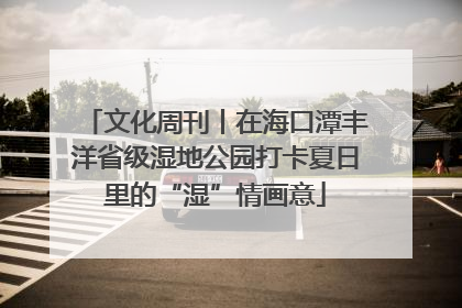 文化周刊丨在海口潭丰洋省级湿地公园打卡夏日里的“湿”情画意
