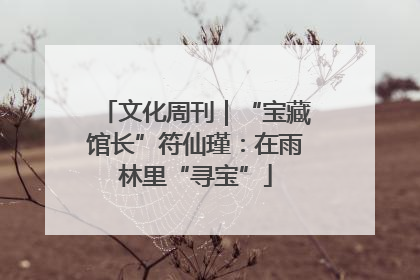 文化周刊|“宝藏馆长”符仙瑾:在雨林里“寻宝”