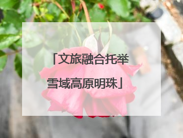 文旅融合托举雪域高原明珠