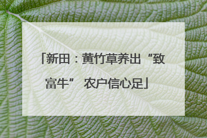 新田：黄竹草养出“致富牛” 农户信心足
