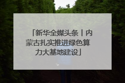新华全媒头条丨内蒙古扎实推进绿色算力大基地建设