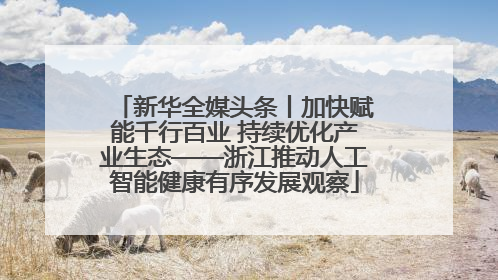 新华全媒头条丨加快赋能千行百业 持续优化产业生态——浙江推动人工智能健康有序发展观察