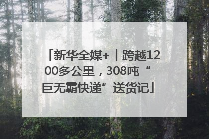 新华全媒+丨跨越1200多公里，308吨“巨无霸快递”送货记