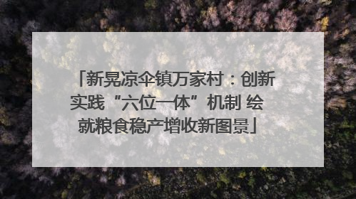 新晃凉伞镇万家村：创新实践“六位一体”机制 绘就粮食稳产增收新图景