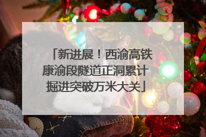 新进展！西渝高铁康渝段隧道正洞累计掘进突破万米大关