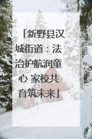 新野县汉城街道：法治护航润童心 家校共育筑未来