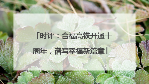 时评：合福高铁开通十周年，谱写幸福新篇章