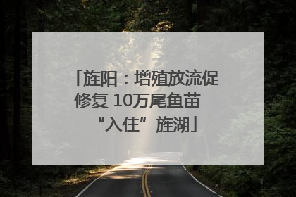 旌阳：增殖放流促修复 10万尾鱼苗“入住”旌湖
