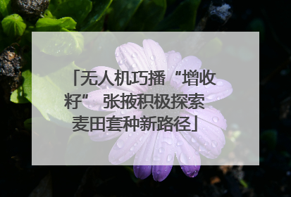 无人机巧播“增收籽” 张掖积极探索麦田套种新路径
