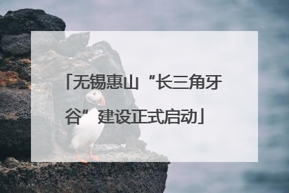 无锡惠山“长三角牙谷”建设正式启动