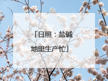 日照：盐碱地里生产忙