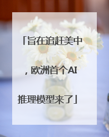 旨在追赶美中，欧洲首个AI推理模型来了