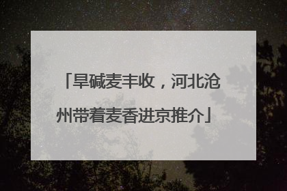 旱碱麦丰收，河北沧州带着麦香进京推介