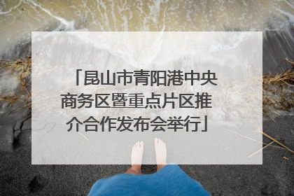 昆山市青阳港中央商务区暨重点片区推介合作发布会举行
