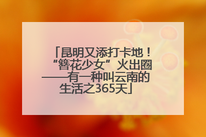 昆明又添打卡地！“簪花少女”火出圈——有一种叫云南的生活之365天