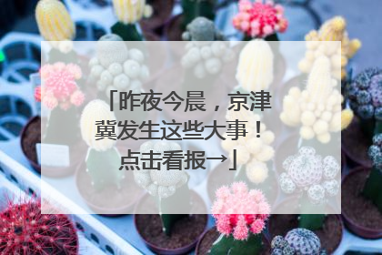 昨夜今晨，京津冀发生这些大事！点击看报→