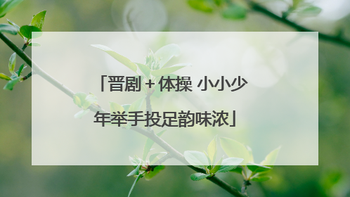 晋剧＋体操 小小少年举手投足韵味浓