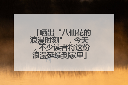 晒出“八仙花的浪漫时刻”，今天，不少读者将这份浪漫延续到家里