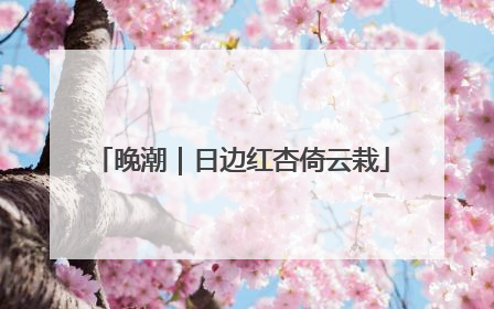 晚潮｜日边红杏倚云栽