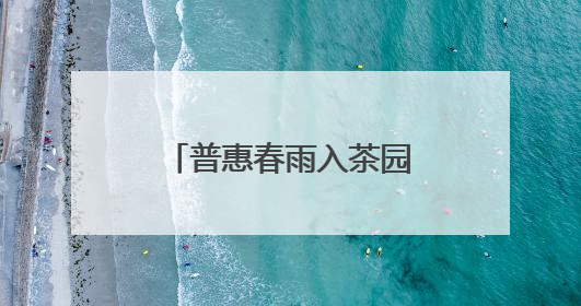 普惠春雨入茶园 润出“湘”茶高质量致富路