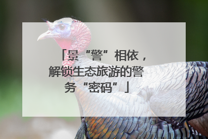 景“警”相依，解锁生态旅游的警务“密码”