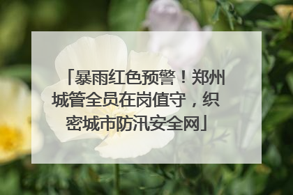 暴雨红色预警！郑州城管全员在岗值守，织密城市防汛安全网