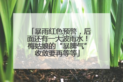 暴雨红色预警，后面还有一大波雨水！梅姑娘的“暴脾气”收敛要再等等