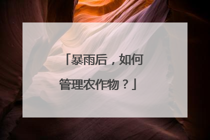 暴雨后，如何管理农作物？