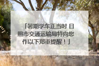 暑期学车正当时 日照市交通运输局特向您作以下郑重提醒！